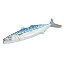 Fischwanddekoration