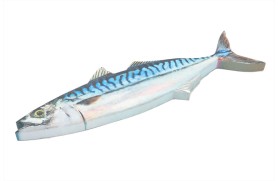 Fischwanddekoration