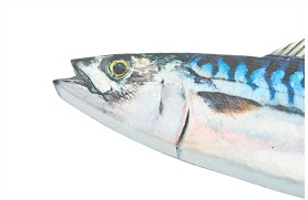 Fischwanddekoration