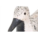 Vogel