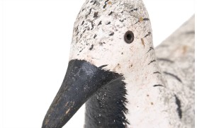 Vogel