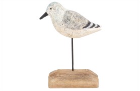 Vogel