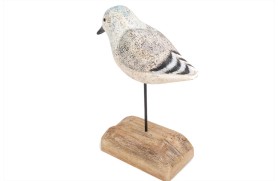 Vogel