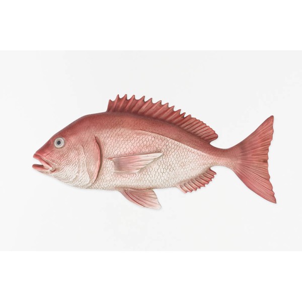 Fischfigur Fischfigur