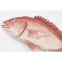 Fischfigur