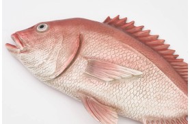 Fischfigur