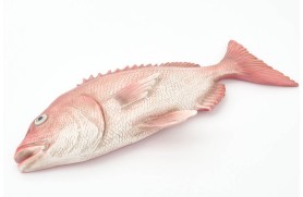 Fischfigur