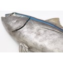 Thunfischfigur