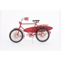 Surffahrrad