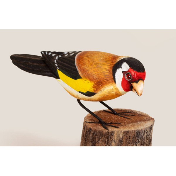 Stieglitz Vogel Stieglitz Vogel