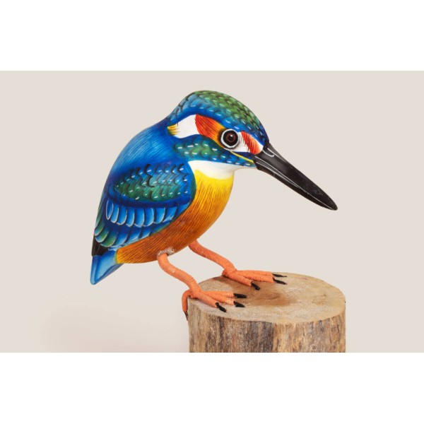 Eisvogel Eisvogel