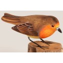 Roter Vogel