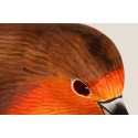 Roter Vogel