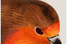 Roter Vogel