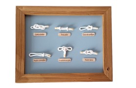 Knoten-Bild