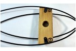 Wand Fisch