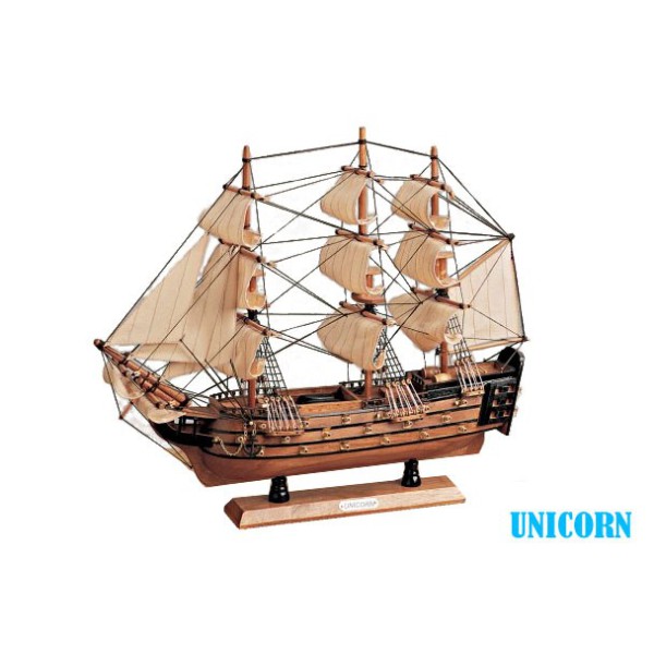 Unicorn Unicorn